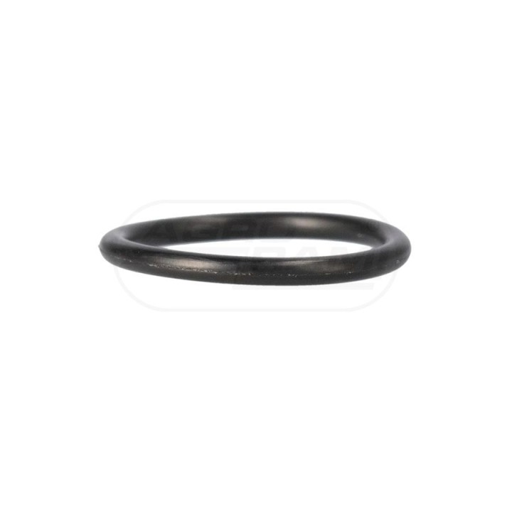 Oring T102297 Case IH