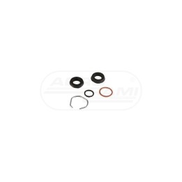Zestaw naprawczy pompki.21/411-56 A06040 , 04382943