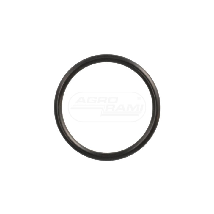 O-ring 3220176R1 Case IH