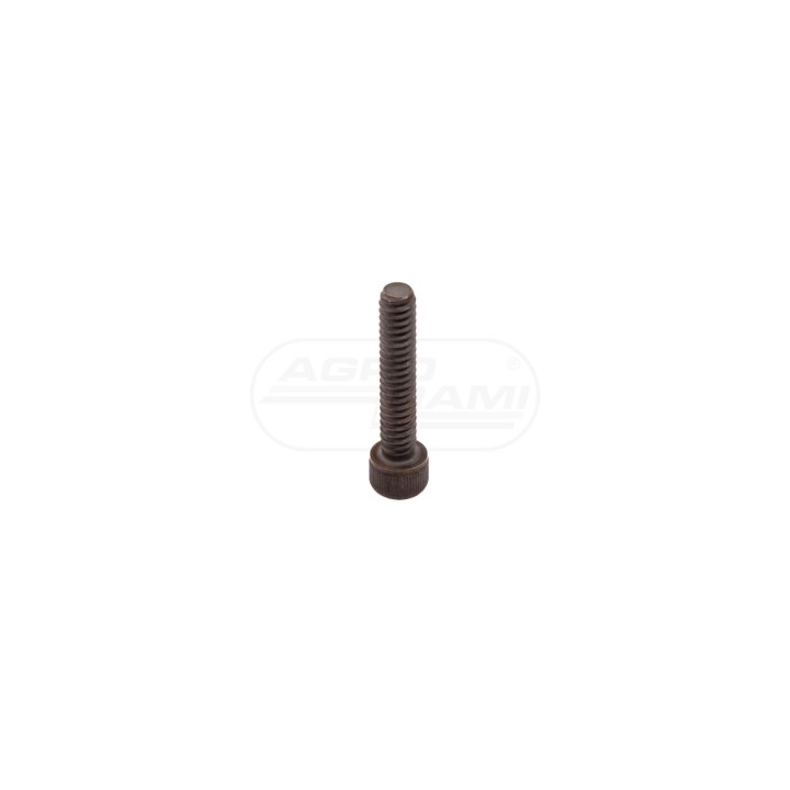 Wkręt z gniazdem 86517238, ##, 61-31016, 80281060 Case IH