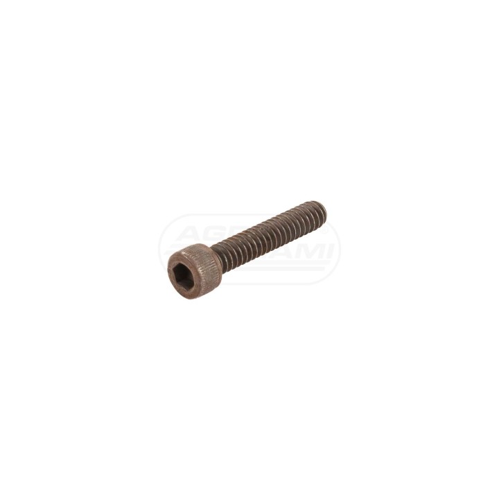 O-ring 2900481, 73182005 Case IH