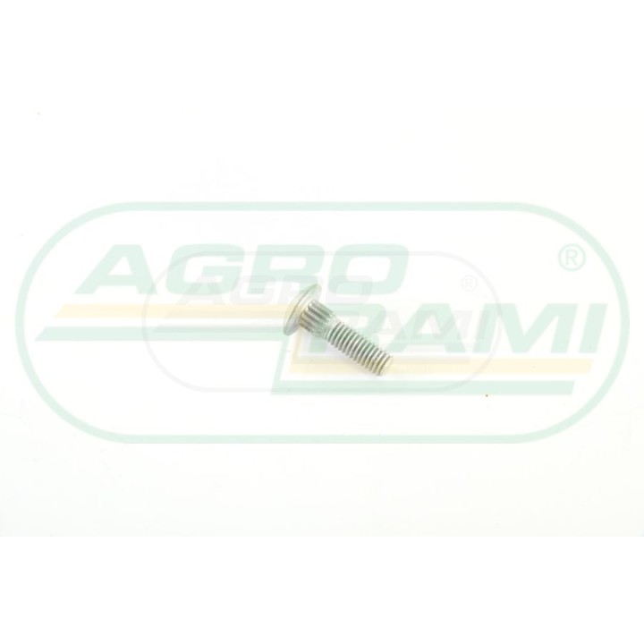 Wkręt CNH M6X22  84429100 Case IH