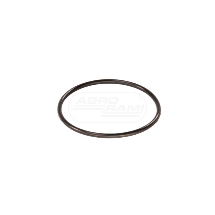 O-ring 9846875 Case IH