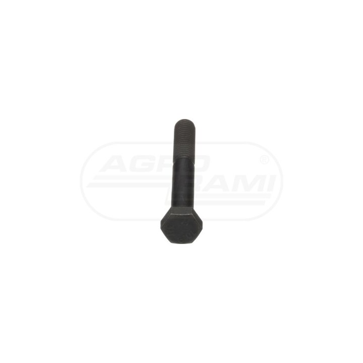 Śruba M10X70 87015537, ##, 813-10070, R4554475 Case IH
