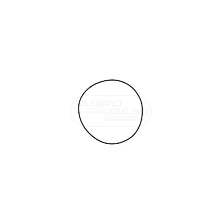O-ring 87302761, ##, A55801, 87688224, S109711 Case IH