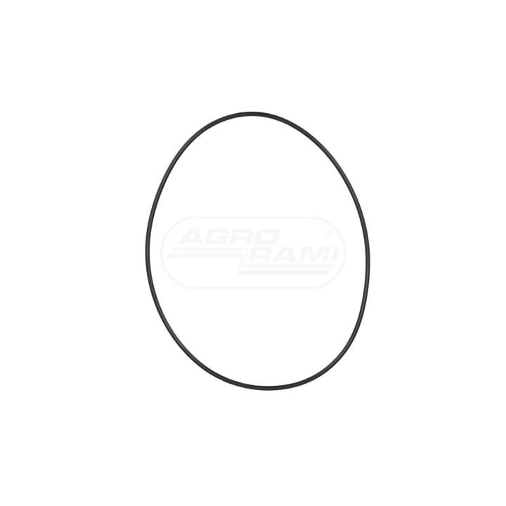 O-ring 84032297 Case IH