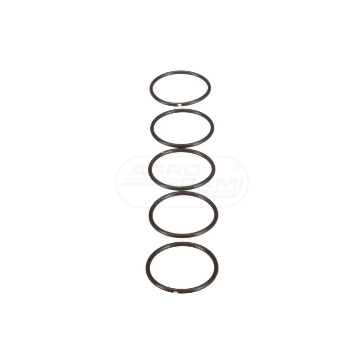 O-ring 134375,1966918C1 Case IH