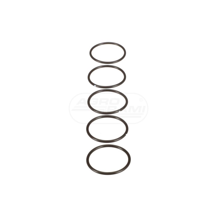 O-ring 134375,1966918C1 Case IH