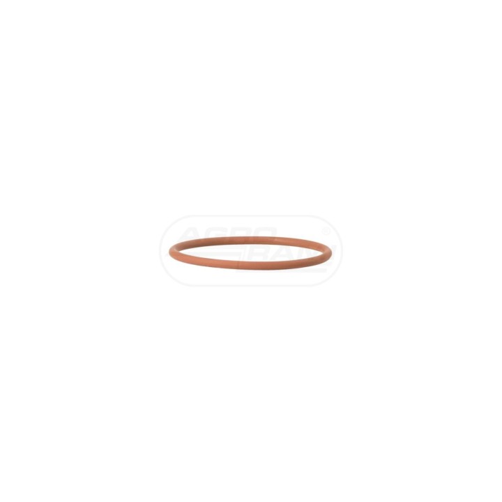 O-ring 17283581, ##, 14459081, 504123494 Case IH