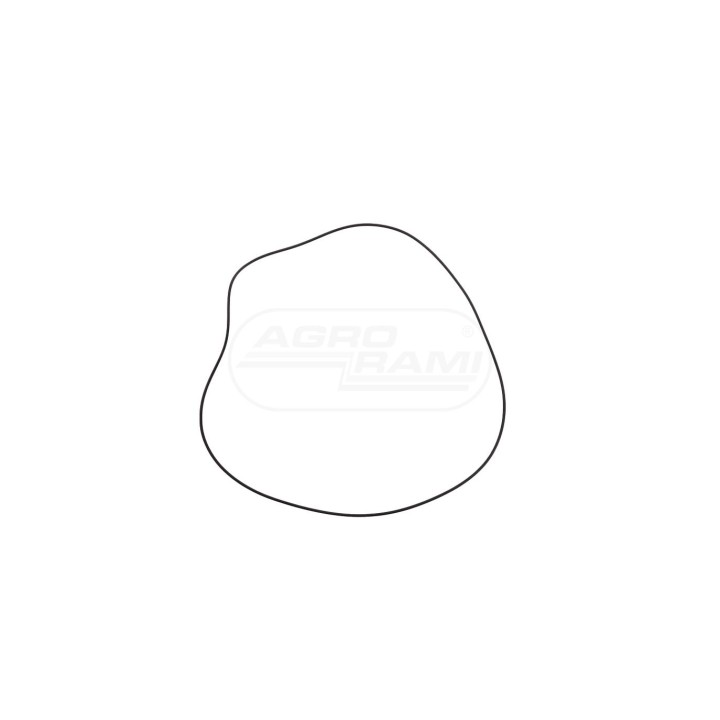 O-ring 83417133, ##, 379313S91, 1431601 Case IH