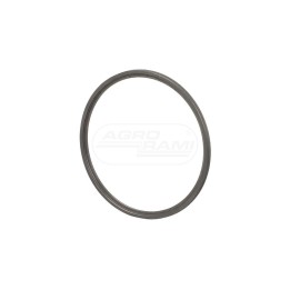 Element ustalający 81865531, F0NN7D041AA Case IH