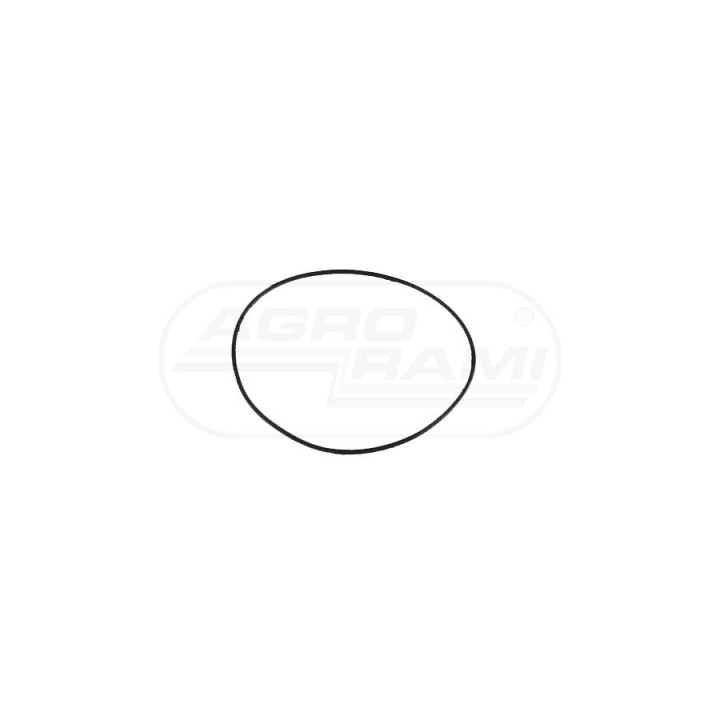 Uszczelka tulei.29/38-403 215391930,  ? Bepco