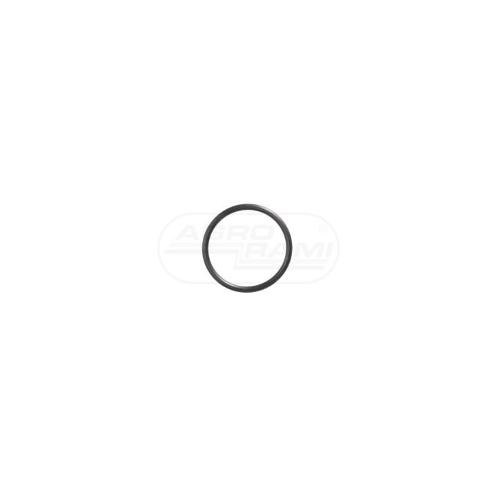 O-ring 81867994, F1NNT838AA Case IH