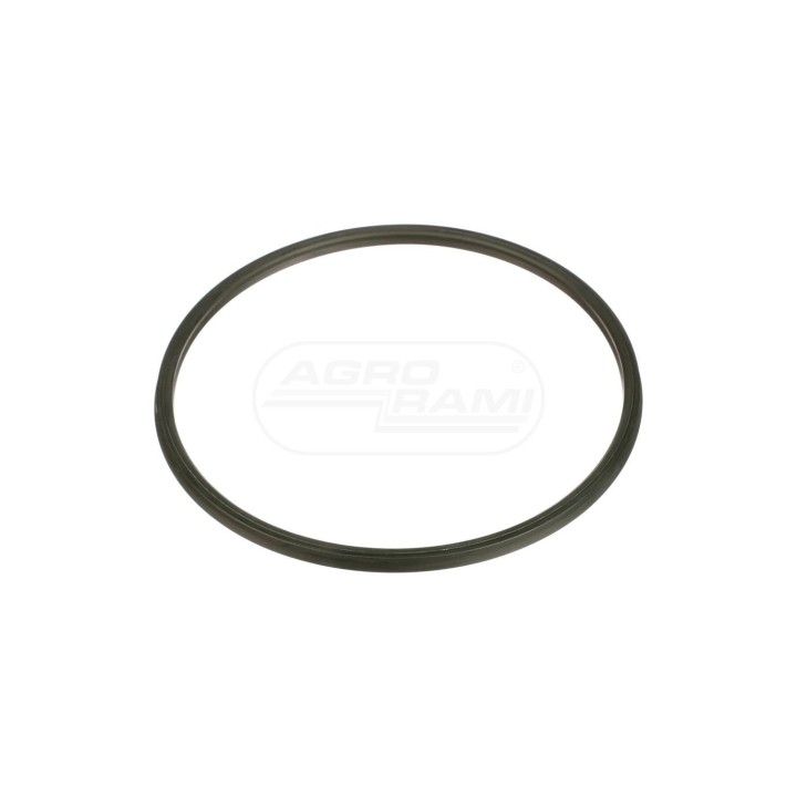 Pierścień uszczelniający 84435856 Case IH