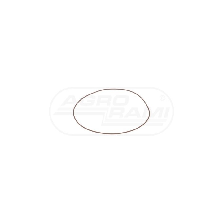 O-ring 14462681 Case IH