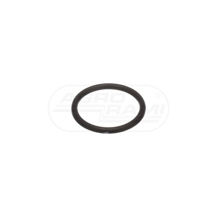 O-ring 353108 Case IH