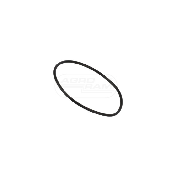 O-ring 192200280704 Case IH