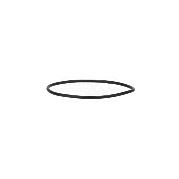 O-ring 192200280704 Case IH