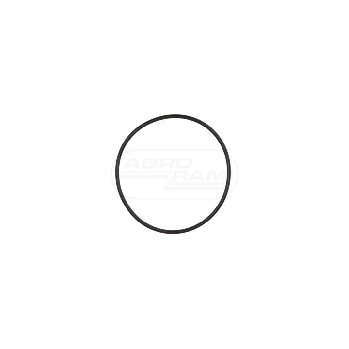 O-ring 192200280704 Case IH