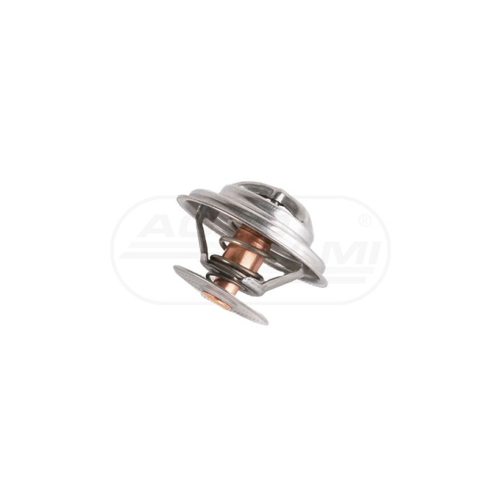 Termostat B37763 04224847, 04224848, Bepco