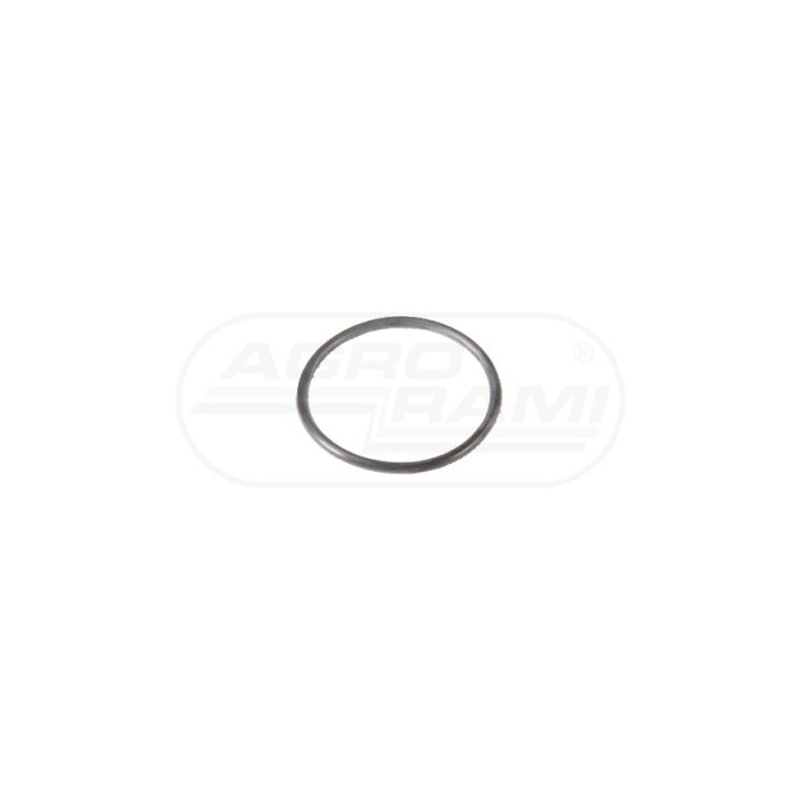 O-ring D50079 Case IH