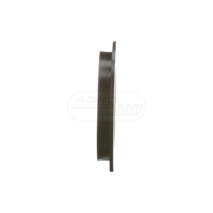 PIERSCIEN 86011220 Case IH