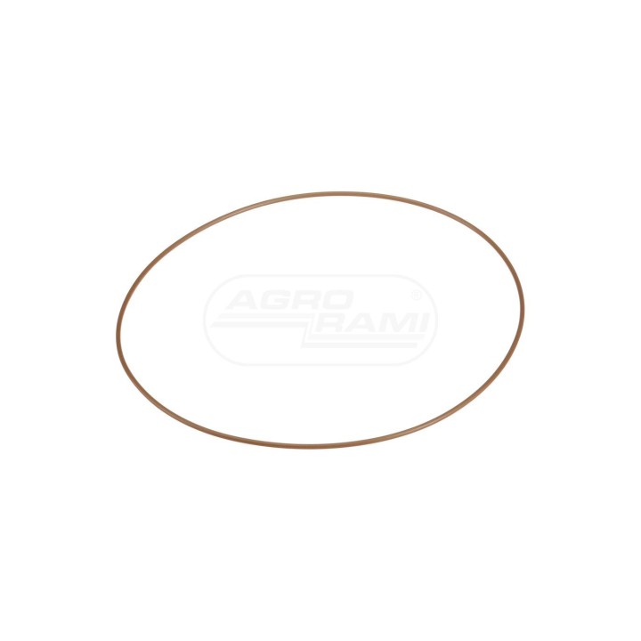 O-RING 87016963 Case IH