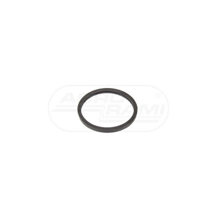 Uszczelka termostatu 504030960, 87803072, 6912011, 6901424 Case IH
