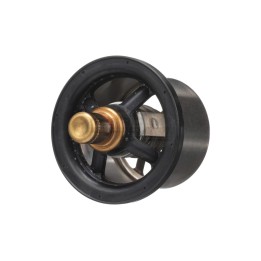 TERMOSTAT 504096443 Case IH