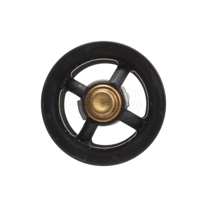 TERMOSTAT 504096443 Case IH