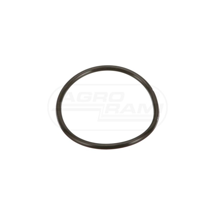 O-ring CNH 52419, ##, A24160, 80052419, 86640088 Case IH