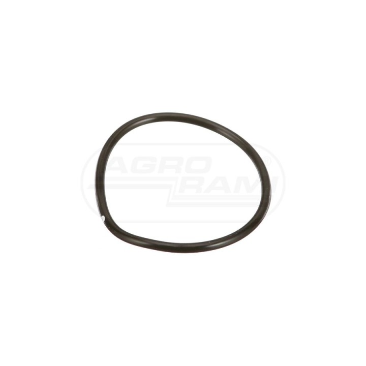 O-ring CNH 52419, ##, A24160, 80052419, 86640088 Case IH