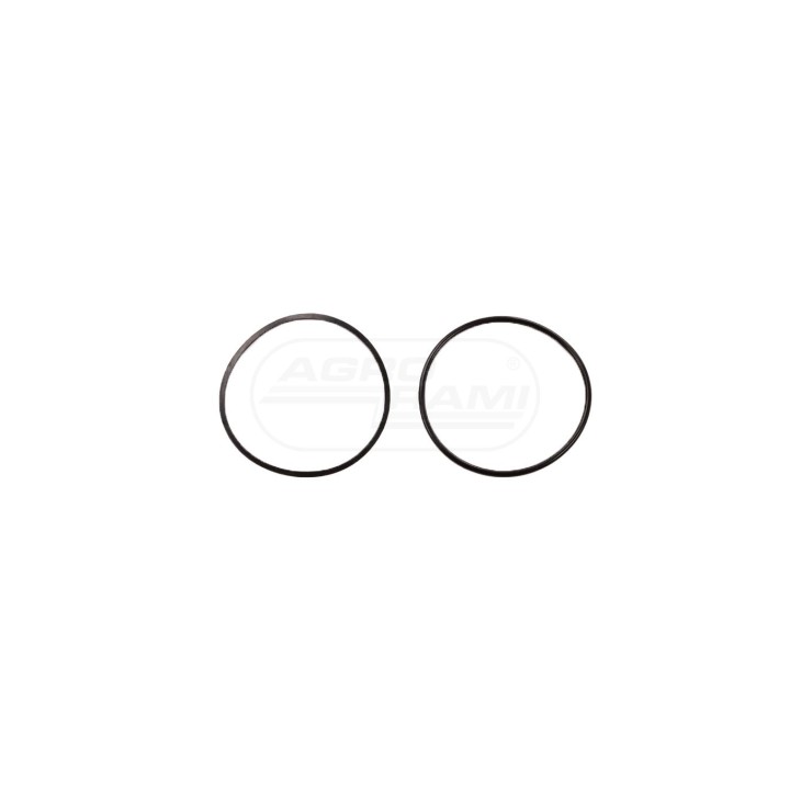 KIT, O-RING 5194880 Case IH
