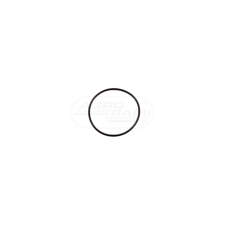 KIT, O-RING 5194880 Case IH