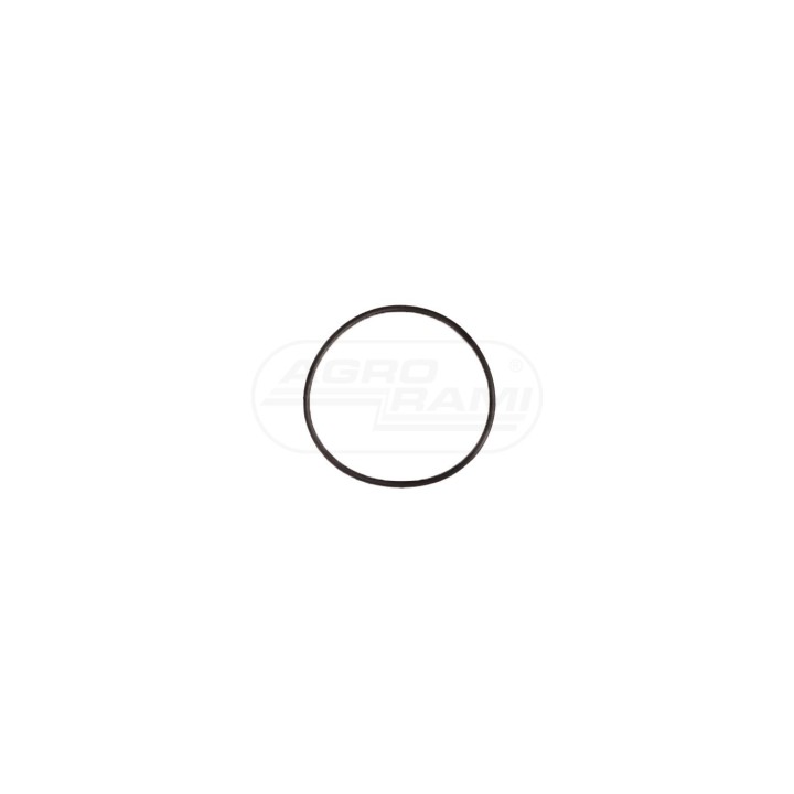 KIT, O-RING 5194880 Case IH