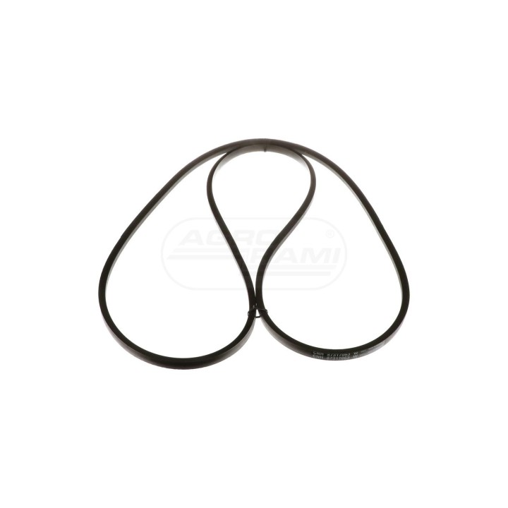 Pas 3651mm Nominal Length x 22.33mm 87317063 Case IH