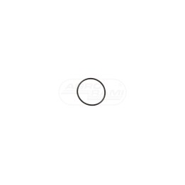 O-RING 579359, 14454380 Case IH
