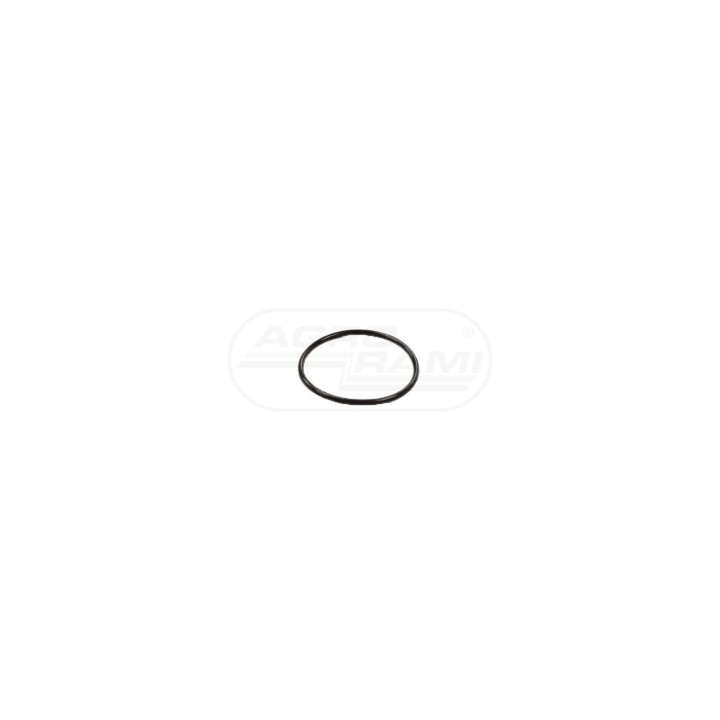 O-RING 579359, 14454380 Case IH