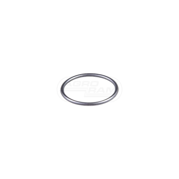 O-ring 42549209 Case IH