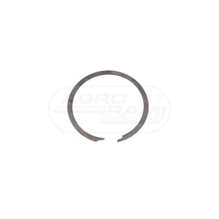 PIERSCIEN SPR 81863684 Case IH