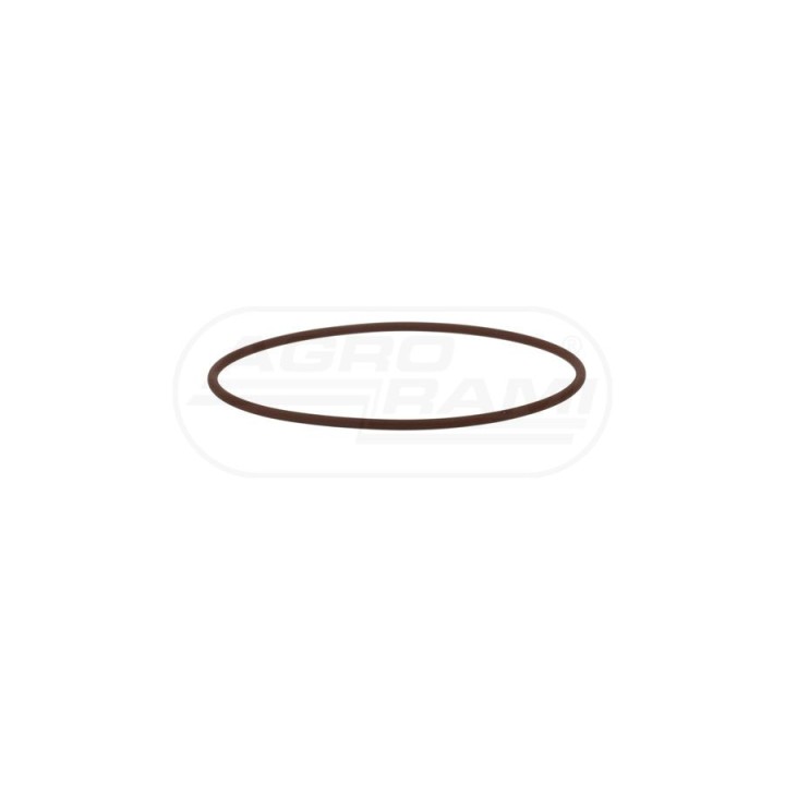 O-ring 4897111 Case IH