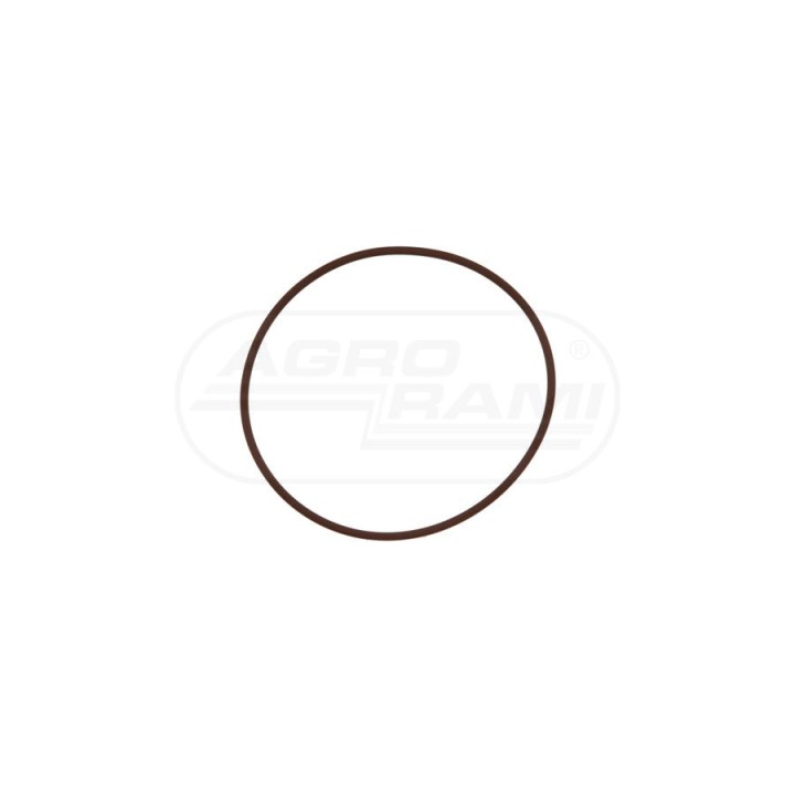 O-ring 4897111 Case IH