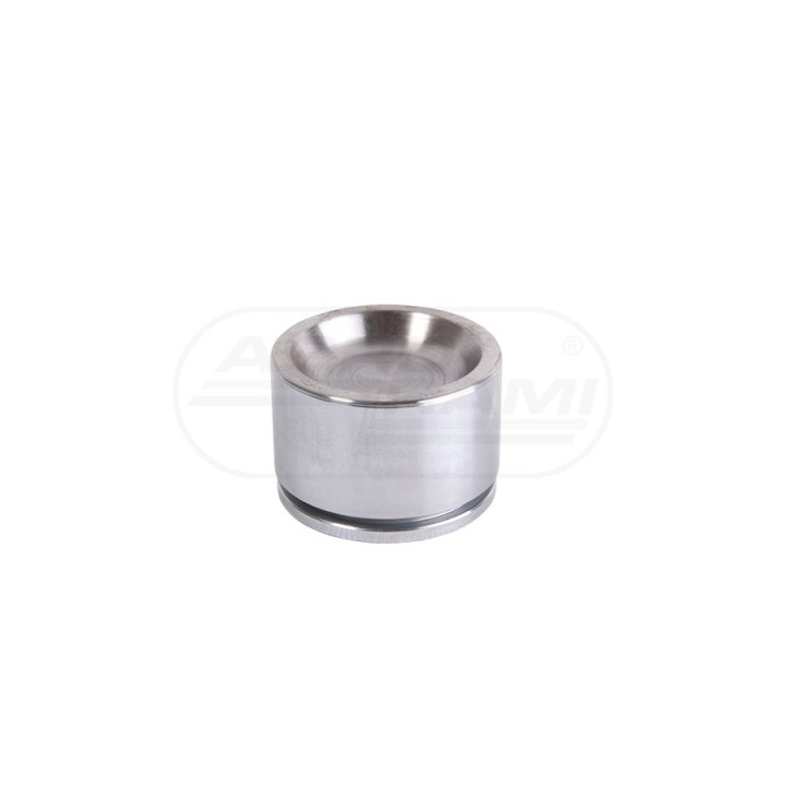 Tłoczek Cylinderka Hamulcowego 28/414-7 7701025830