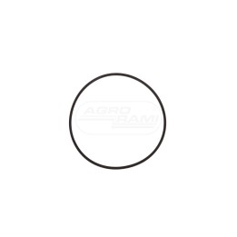 Pierscień 25/306-4  116X123X2MM 401724R1