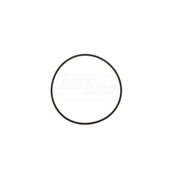 Pierscień 25/306-4  116X123X2MM 401724R1