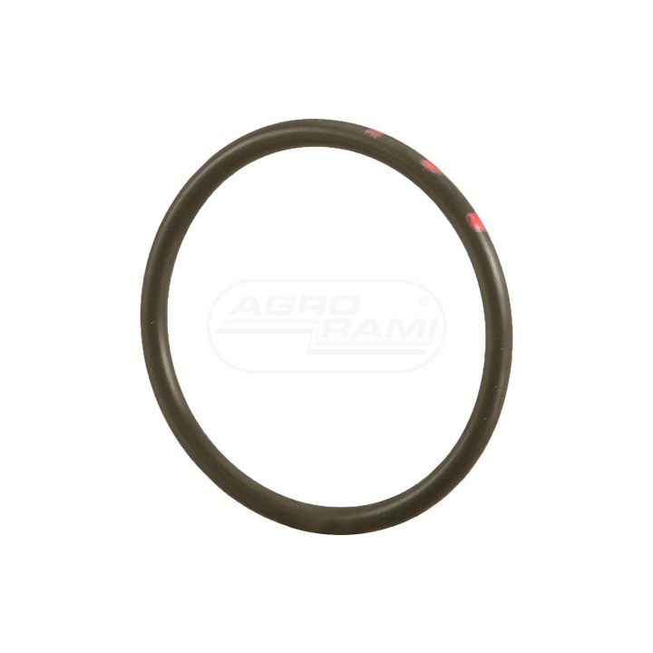 O-ring 70926843 Case IH