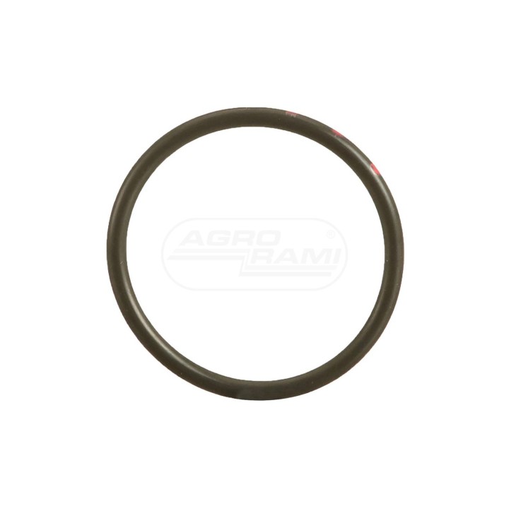 O-ring 70926843 Case IH