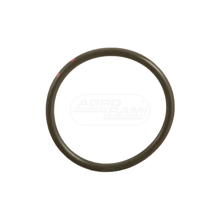 O-ring 70926843 Case IH
