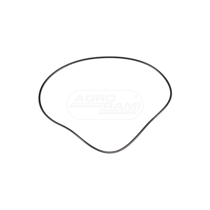 O-ring 5140121 Case IH