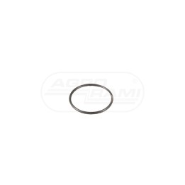 Oring 3010501Z1 6005019383